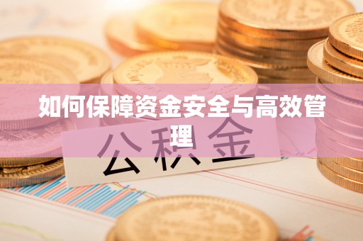 快速如何保障资金安全与高效管理
