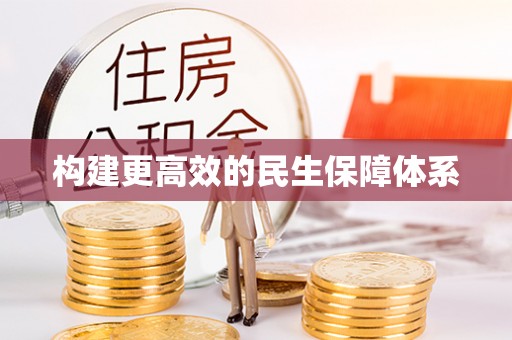 快速构建更高效的民生保障体系