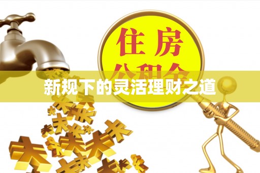 快速新规下的灵活理财之道