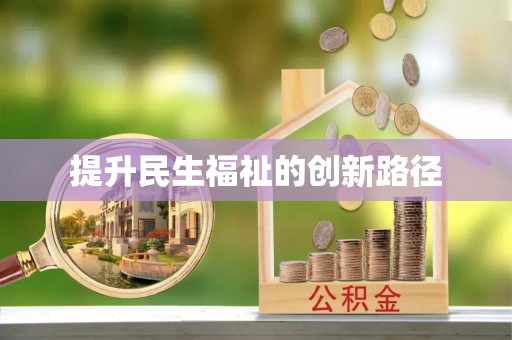 快速提升民生福祉的创新路径