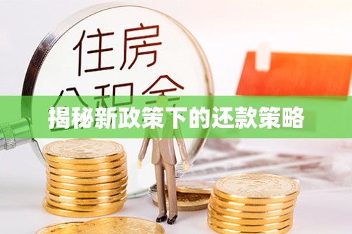 快速揭秘新政策下的还款策略