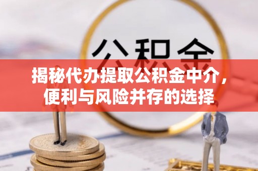 快速揭秘代办提取公积金中介，便利与风险并存的选择