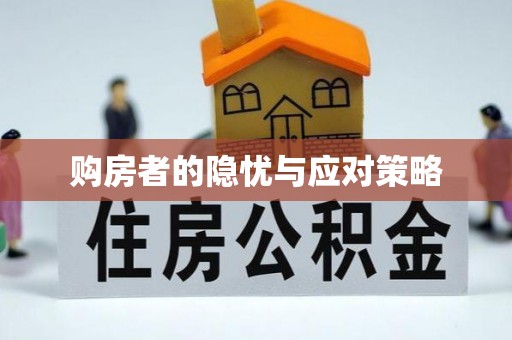 快速购房者的隐忧与应对策略