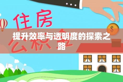 快速提升效率与透明度的探索之路