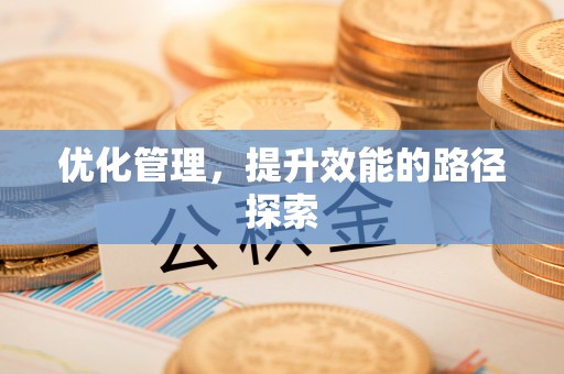 快速优化管理，提升效能的路径探索