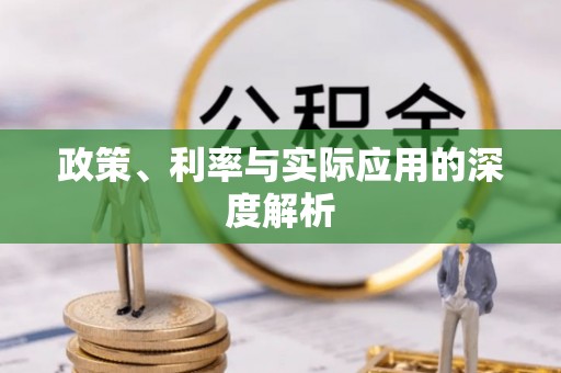 快速政策、利率与实际应用的深度解析