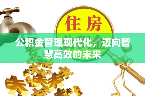 快速公积金管理现代化，迈向智慧高效的未来