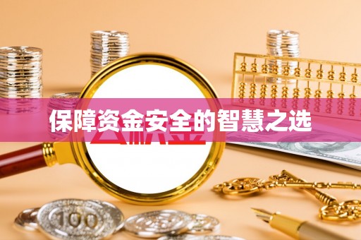 快速保障资金安全的智慧之选