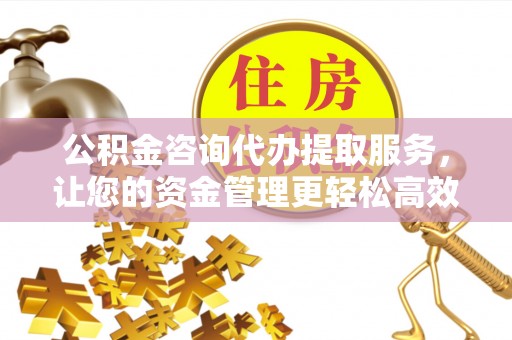 快速公积金咨询代办提取服务，让您的资金管理更轻松高效
