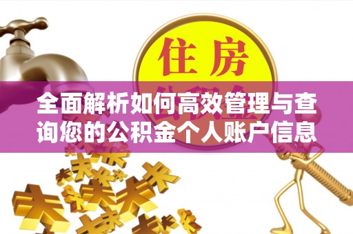 快速全面解析如何高效管理与查询您的公积金个人账户信息