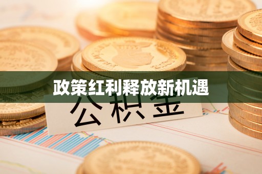 快速政策红利释放新机遇