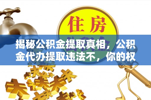 快速揭秘公积金提取真相，公积金代办提取违法不，你的权益如何保障？