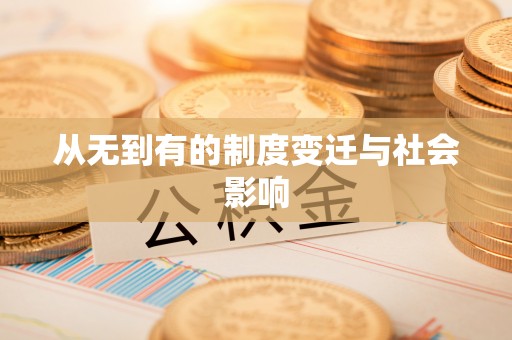 快速从无到有的制度变迁与社会影响