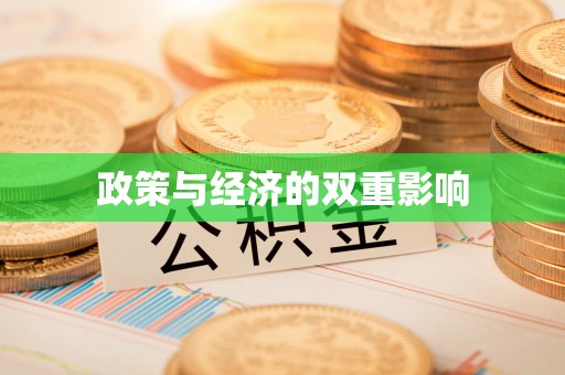 快速政策与经济的双重影响