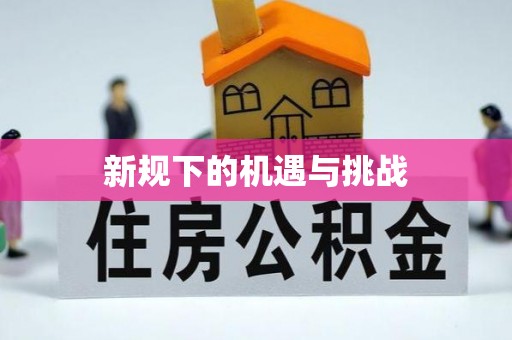 快速新规下的机遇与挑战