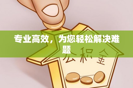 快速专业高效，为您轻松解决难题