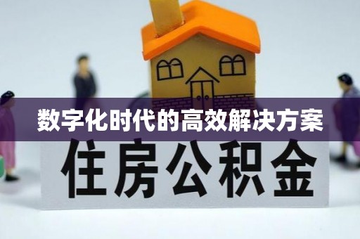 快速数字化时代的高效解决方案