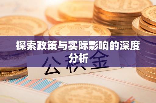 快速探索政策与实际影响的深度分析