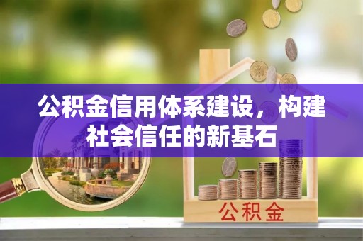 快速公积金信用体系建设，构建社会信任的新基石