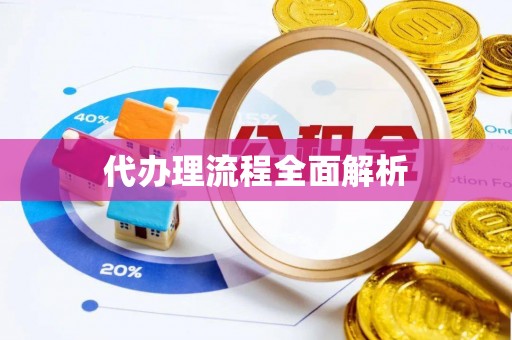 快速代办理流程全面解析