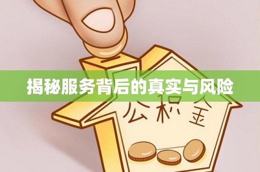 快速揭秘服务背后的真实与风险