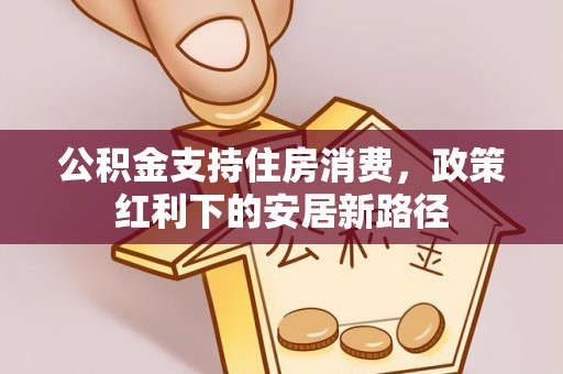 快速公积金支持住房消费，政策红利下的安居新路径