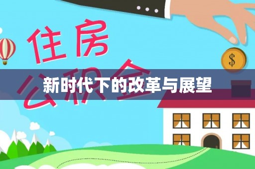 快速新时代下的改革与展望