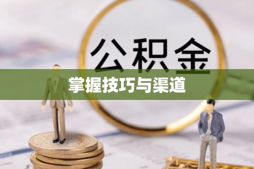 快速掌握技巧与渠道