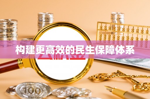 快速构建更高效的民生保障体系