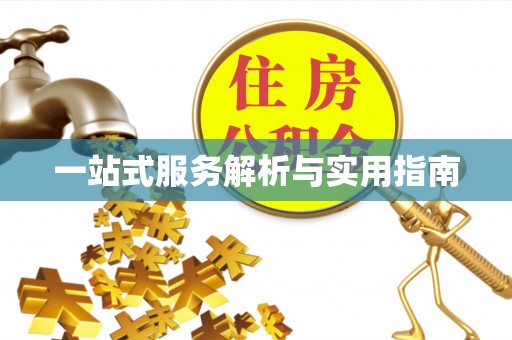 快速一站式服务解析与实用指南