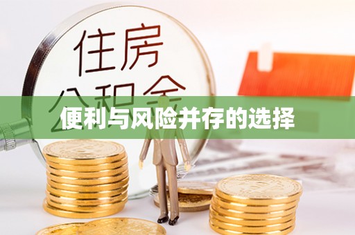 快速便利与风险并存的选择