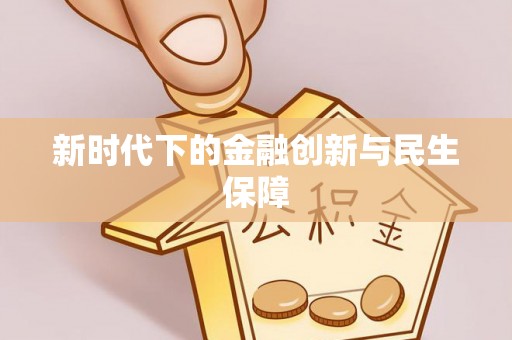 快速新时代下的金融创新与民生保障