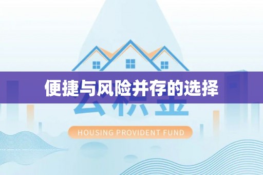 快速便捷与风险并存的选择