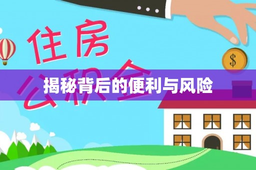 快速揭秘背后的便利与风险