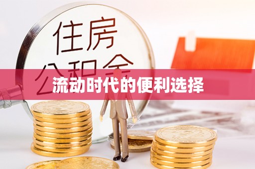 快速流动时代的便利选择