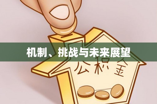 快速机制、挑战与未来展望